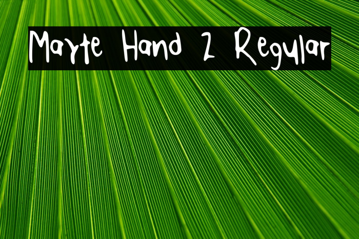 Mayte Hand 2 Regular Example 1