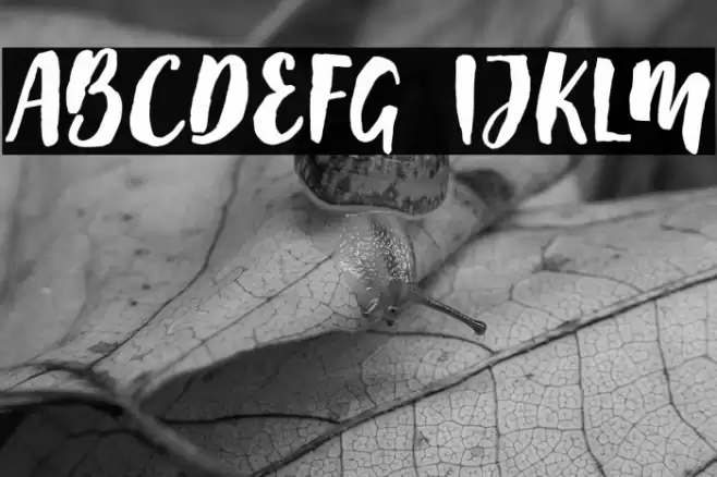 Mayton Font examples