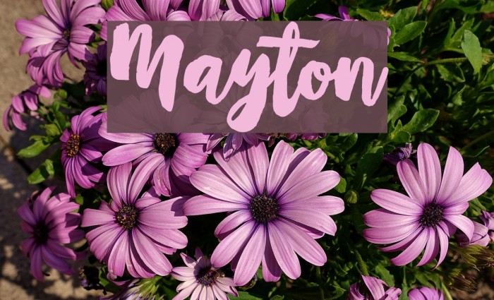 Mayton Font examples