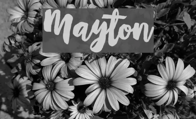 Mayton Font examples