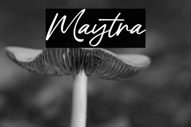 Maytra Font examples