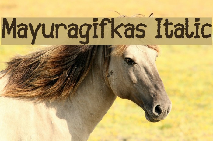 Mayuragifkas Italic Font examples
