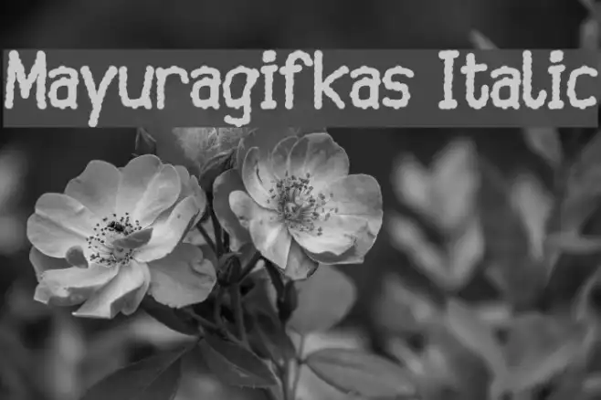 Mayuragifkas Italic Example 3