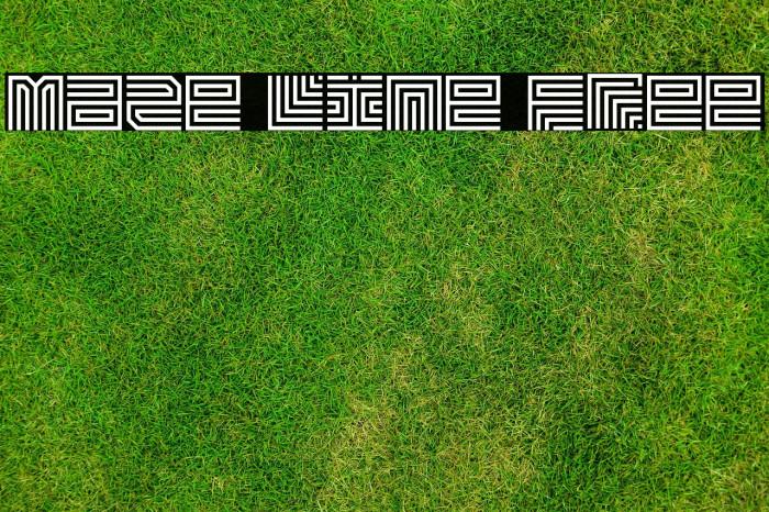 Maze Line Free Example 3