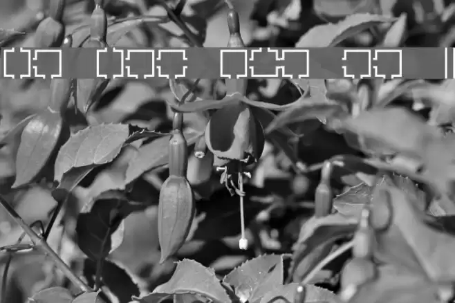 Maze Maker Dungeon Level 1F Font examples