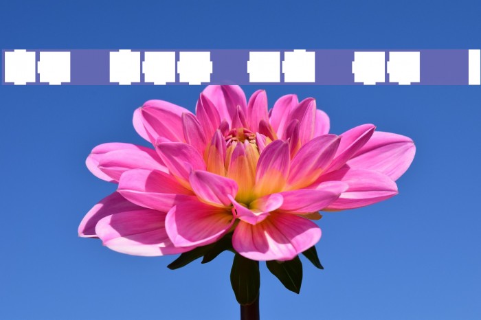 Maze Maker Solid Level 1F Font examples