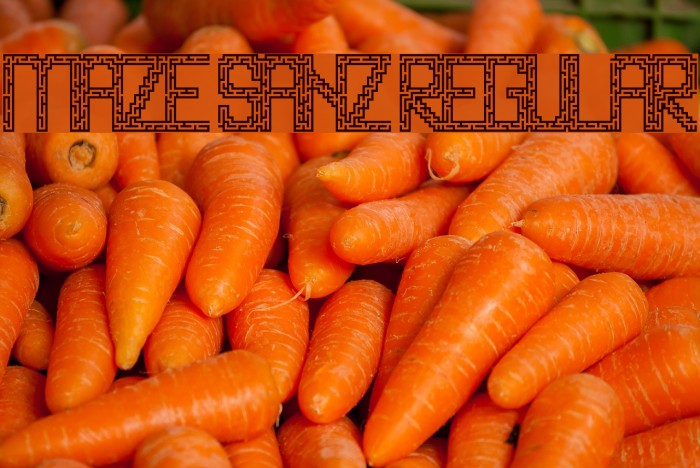 Maze Sanz Regular Example 2