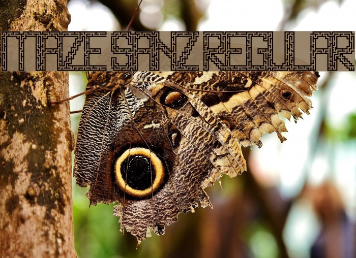 Maze Sanz Regular Example 3