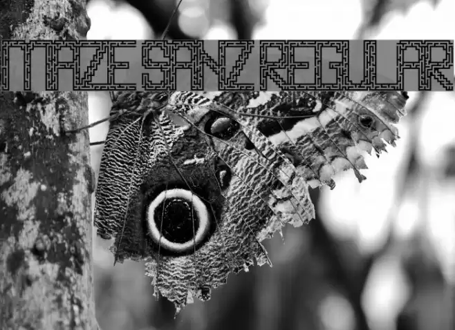 Maze Sanz Regular Font examples