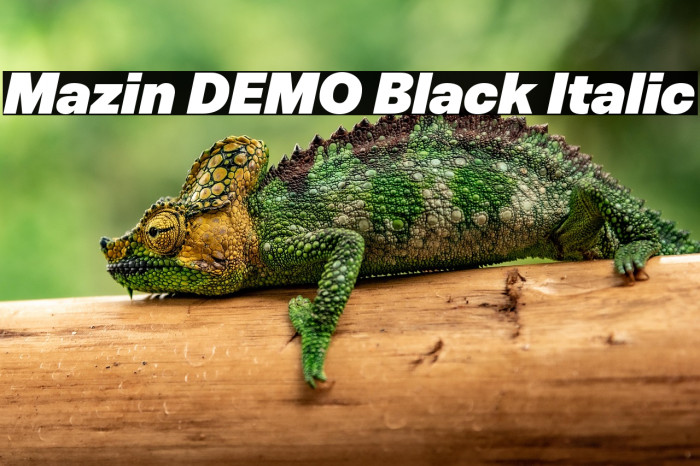 Mazin DEMO Black Italic Example 1