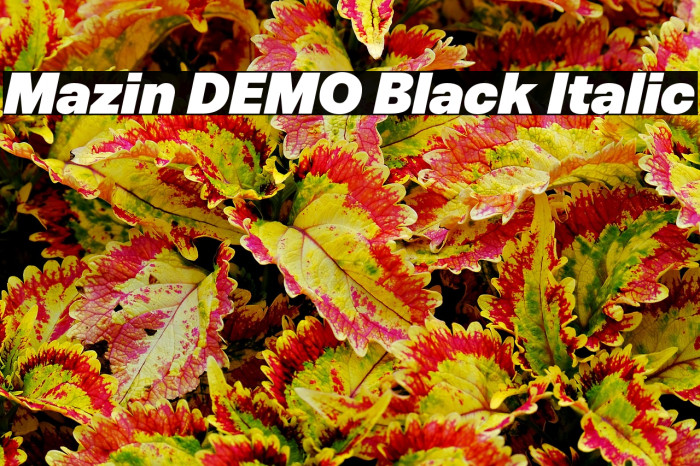 Mazin DEMO Black Italic Example 3
