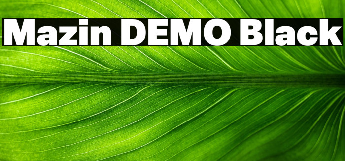 Mazin DEMO Black Example 3