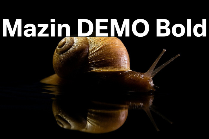 Mazin DEMO Bold Example 2