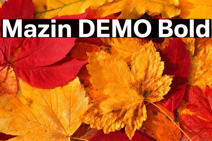 Mazin DEMO Bold Example 3