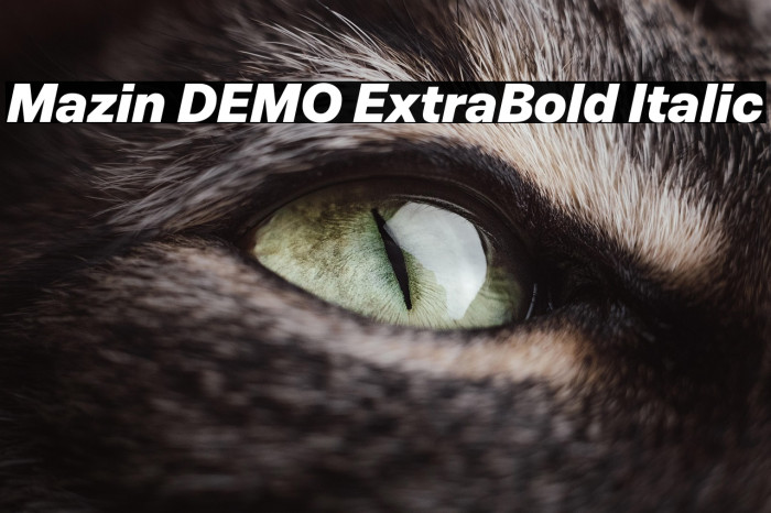 Mazin DEMO ExtraBold Italic Example 3