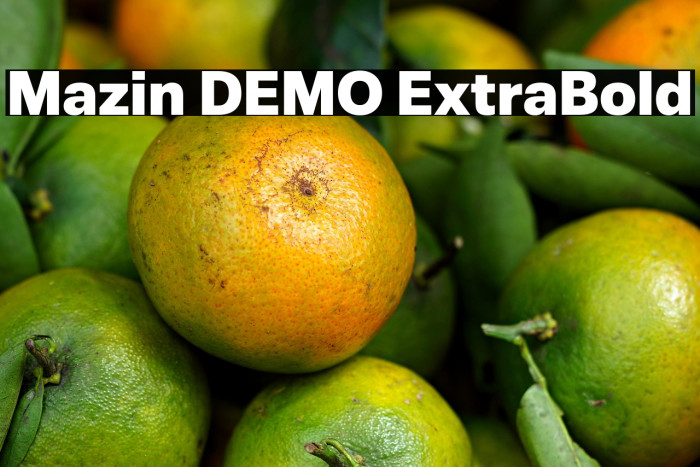 Mazin DEMO ExtraBold Example 1