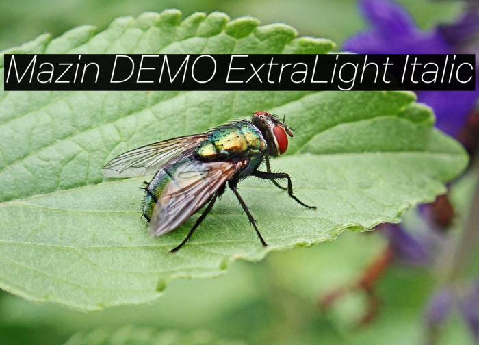 Mazin DEMO ExtraLight Italic Example 3