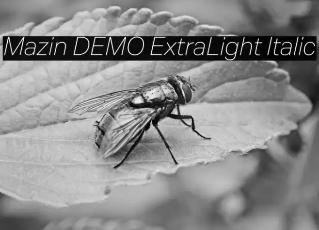 Mazin DEMO ExtraLight Italic Font examples