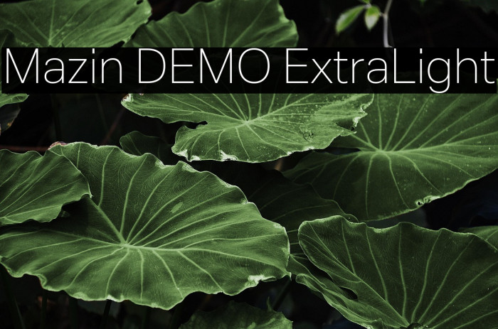 Mazin DEMO ExtraLight Example 2