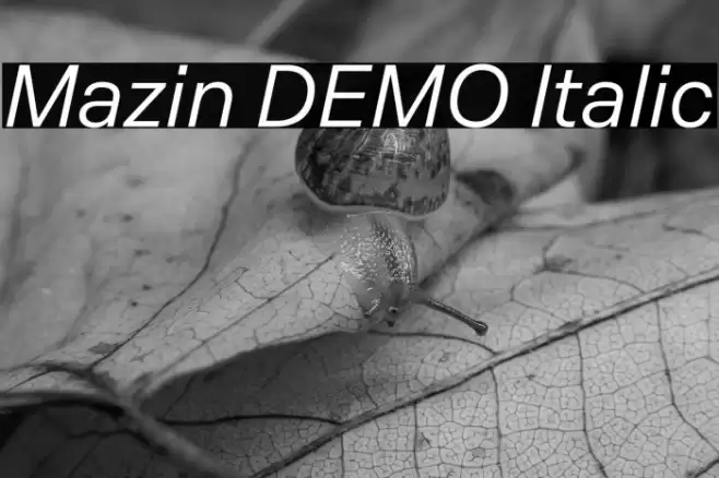 Mazin DEMO Italic Font examples