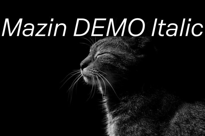 Mazin DEMO Italic Example 3