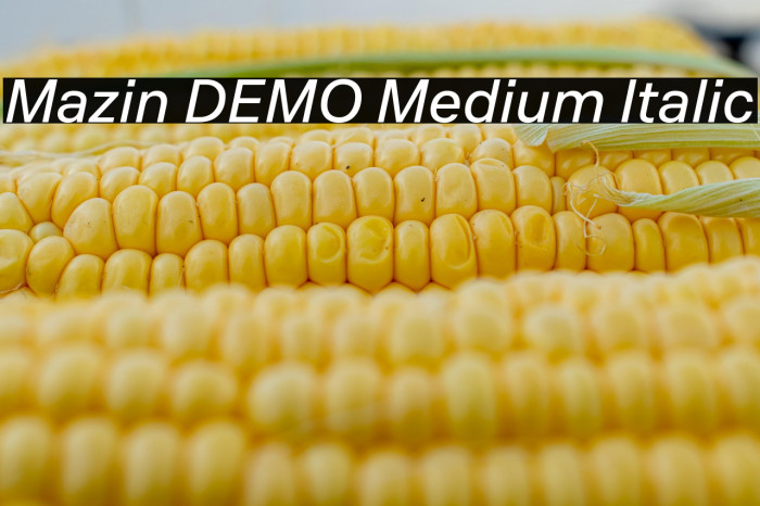 Mazin DEMO Medium Italic Example 3