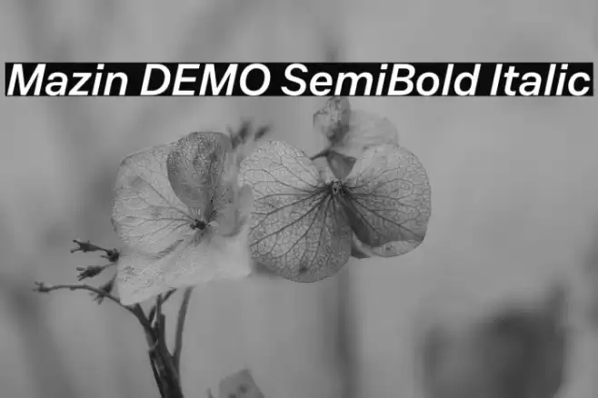 Mazin DEMO SemiBold Italic Font examples