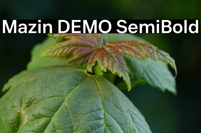 Mazin DEMO SemiBold Example 2