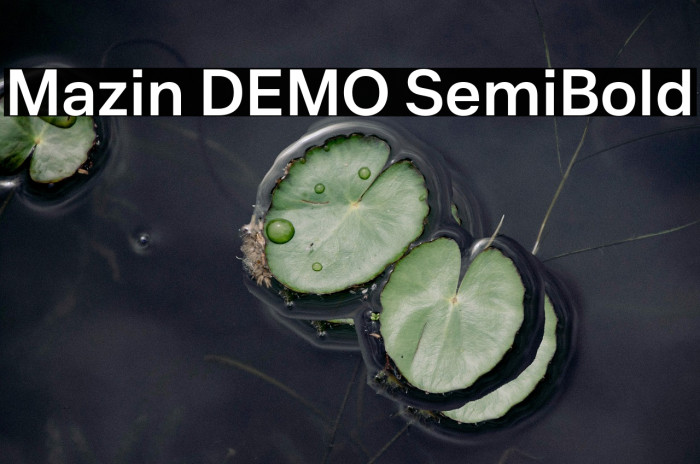 Mazin DEMO SemiBold Example 3
