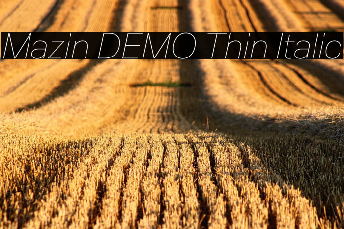 Mazin DEMO Thin Italic Example 1