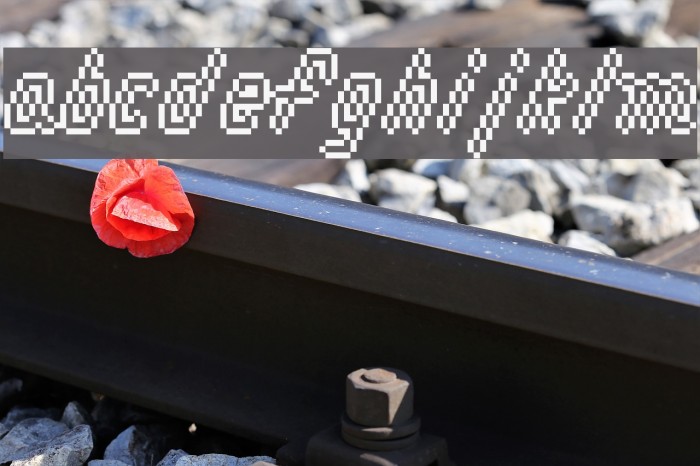 macrodigi Font examples
