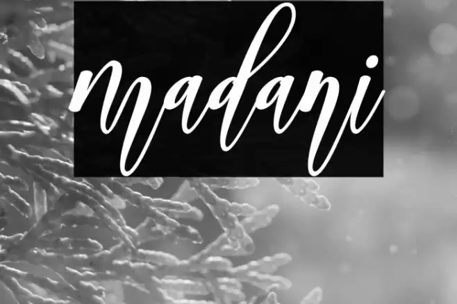 madani Font examples