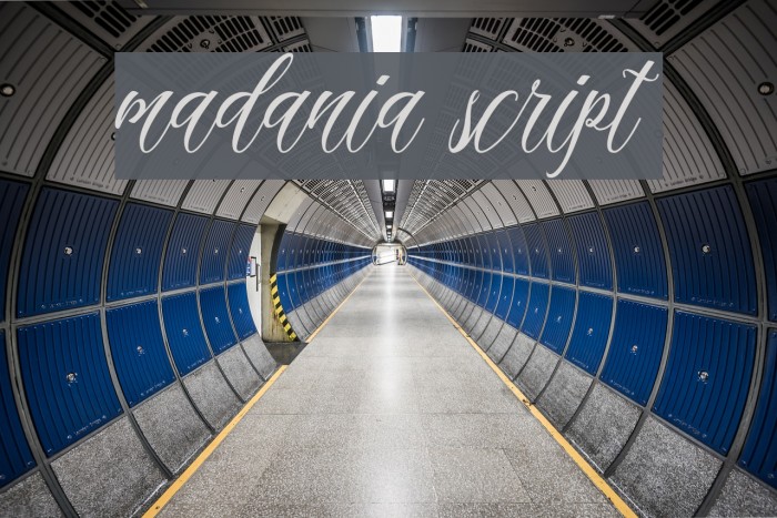 madania script Font examples