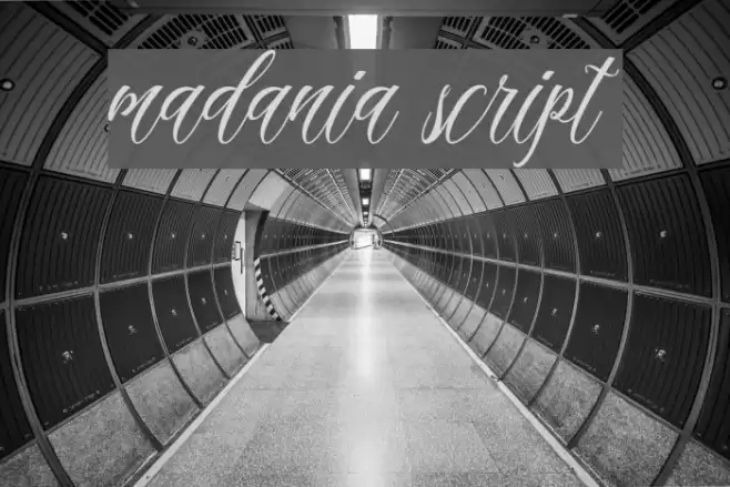 madania script Font examples
