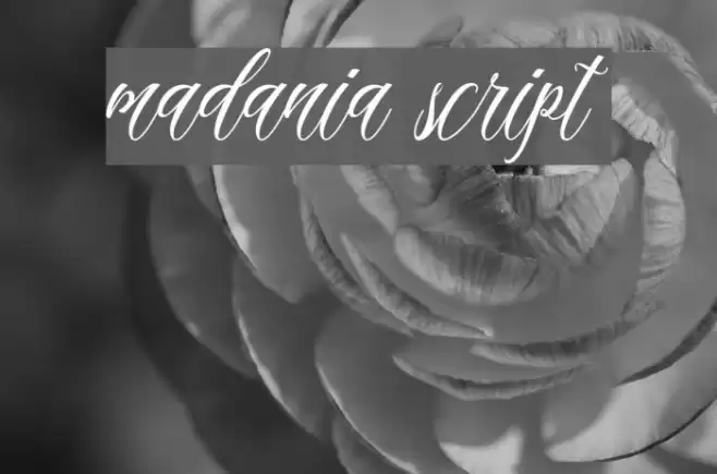 madania script Font examples