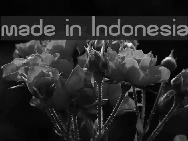 made in Indonesia Caratteri examples