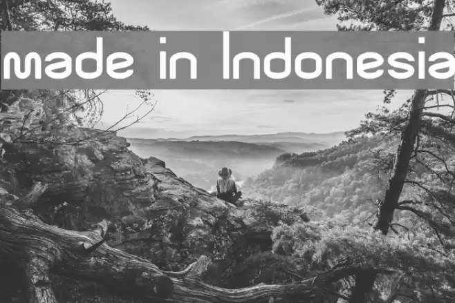 made in Indonesia Font examples