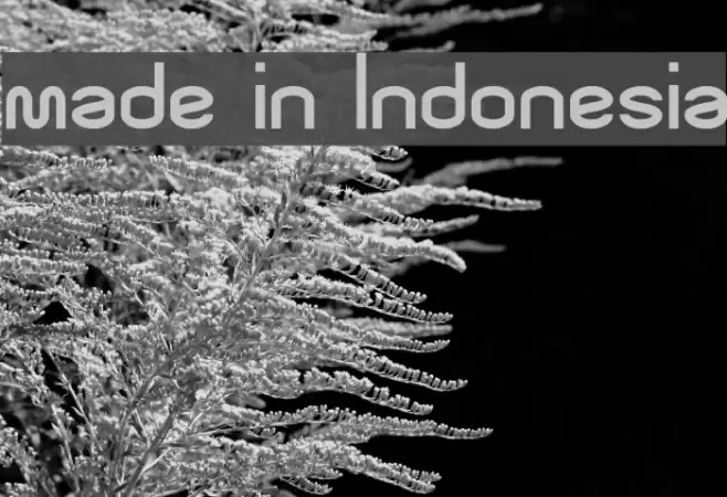 made in Indonesia Font examples