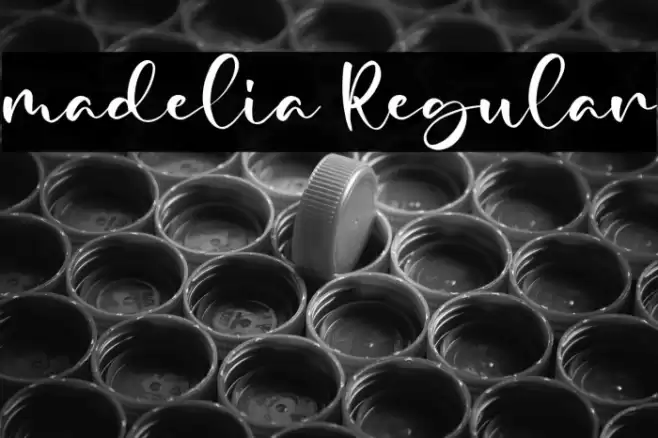madelia Regular Font examples
