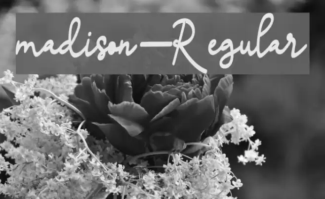 madison-Regular Font examples
