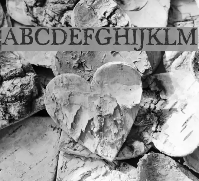 maenan2 Font examples