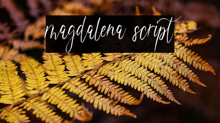 magdalena script Example 1