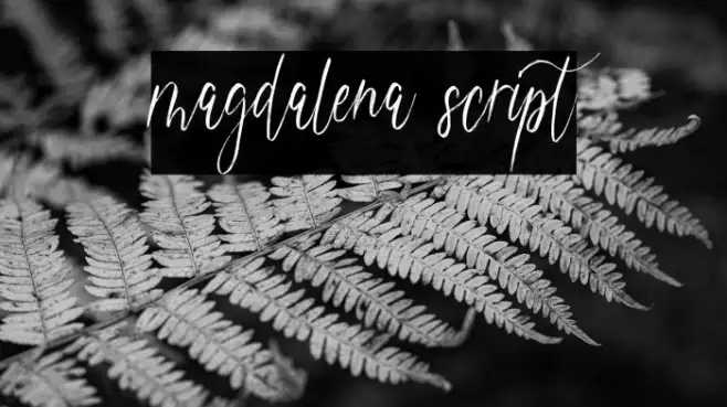magdalena script Example 1