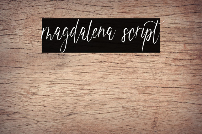 magdalena script Example 2