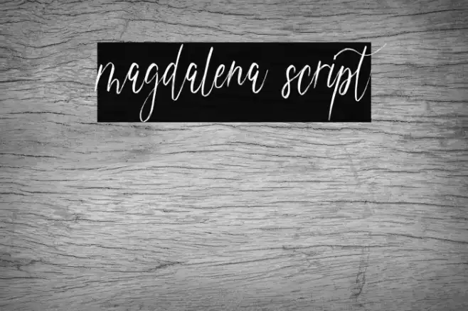 magdalena script Example 2