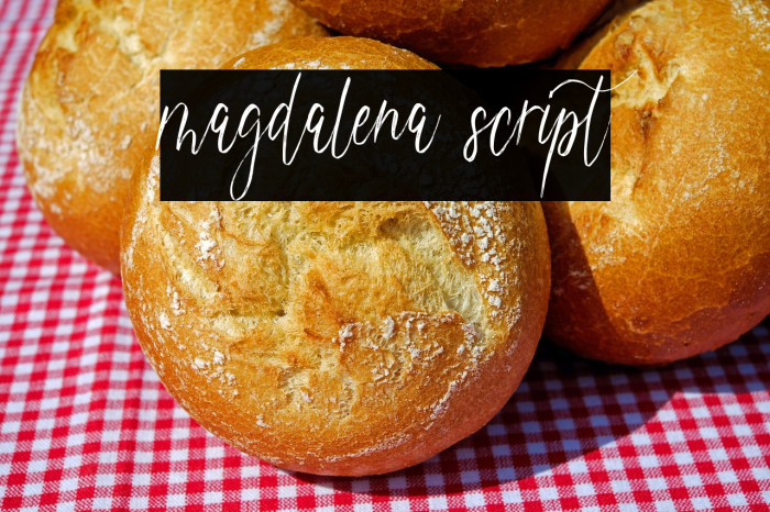 magdalena script Example 3