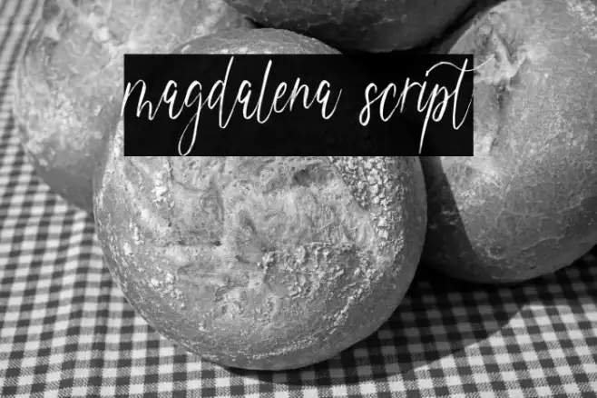 magdalena script Example 3