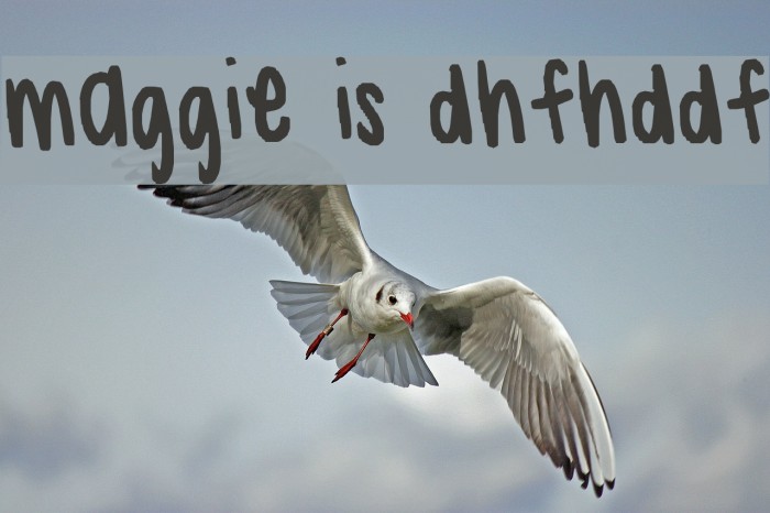 maggie is dhfhddf Font examples