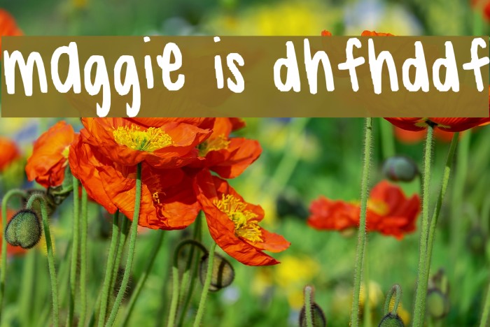 maggie is dhfhddf Font examples