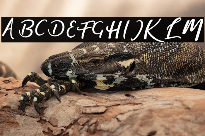 magic-Regular Example 2